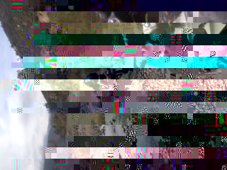 la foto 7.JPG